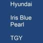 Preview: Hyundai, Iris Blue Pearl, TGY.